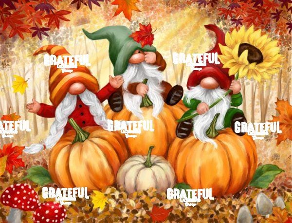 Fall Gnomes in Wood