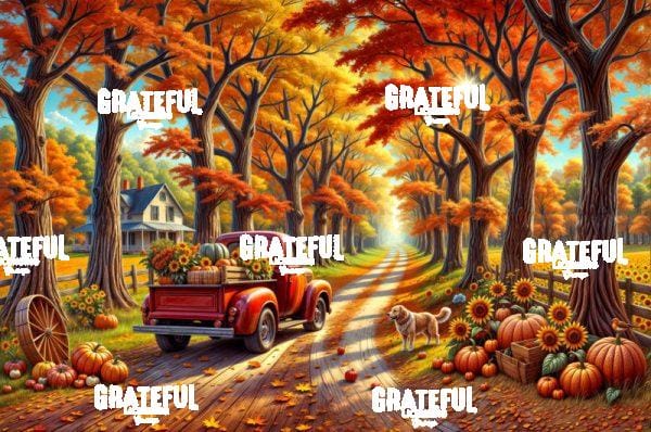 Autumn Road