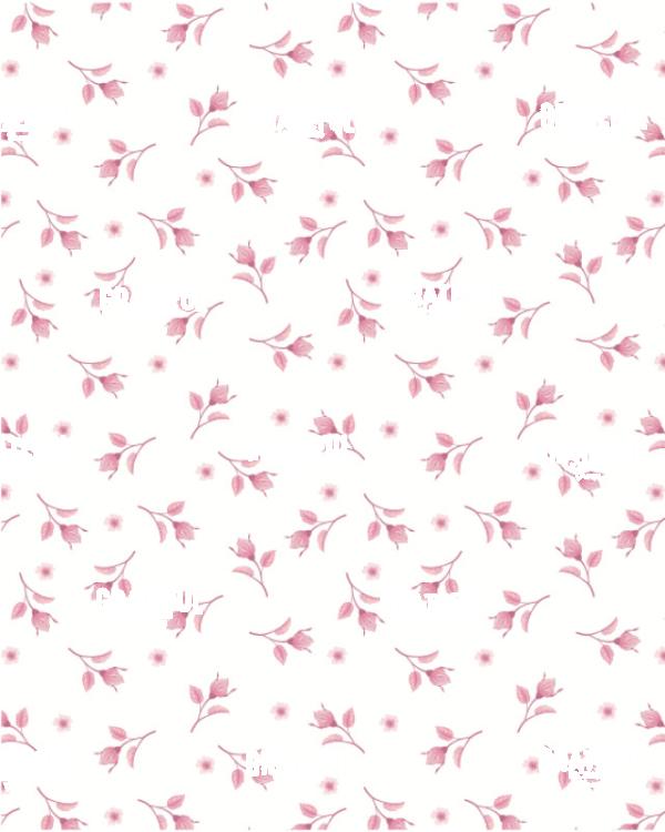 Floral Blush 3