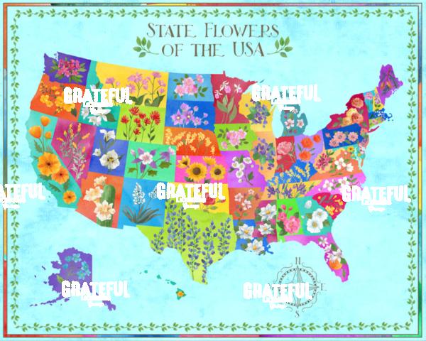 US Floral Map