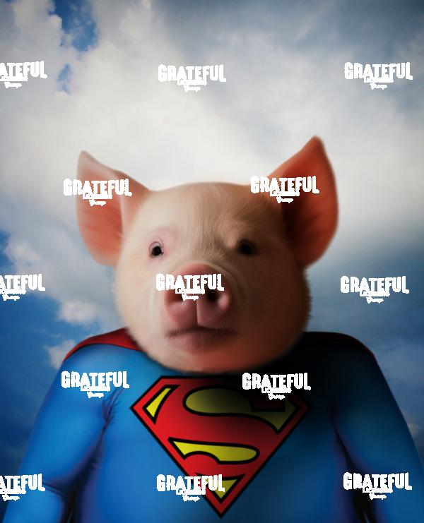 Super Ham