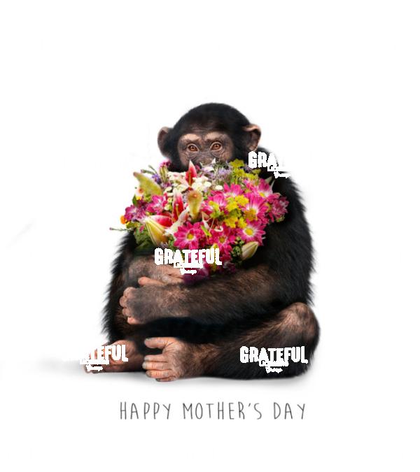Mother's Day Monkey