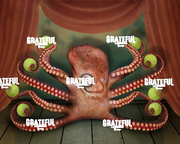 Octopus