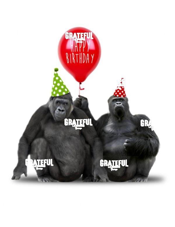 Birthday Gorillas