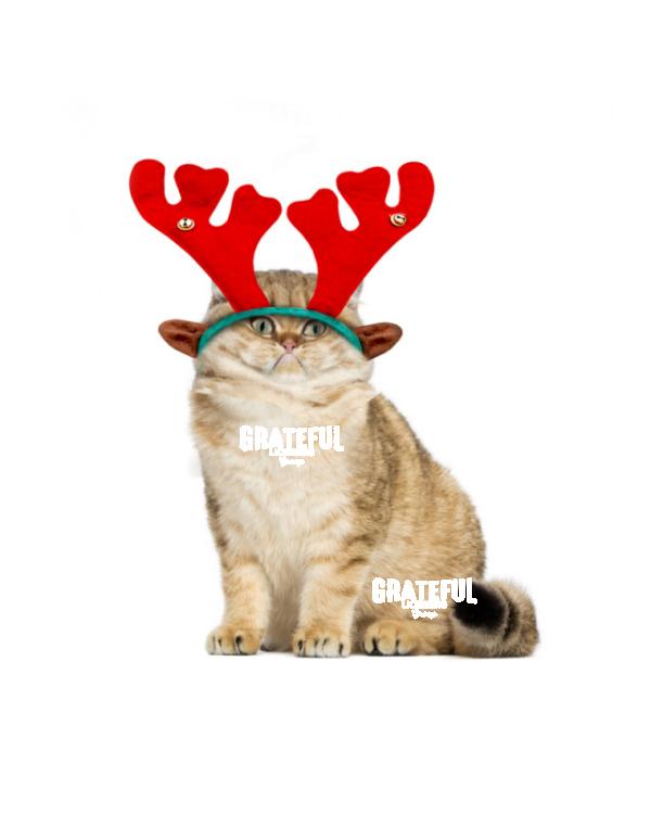 Whatever Cat with Antlers