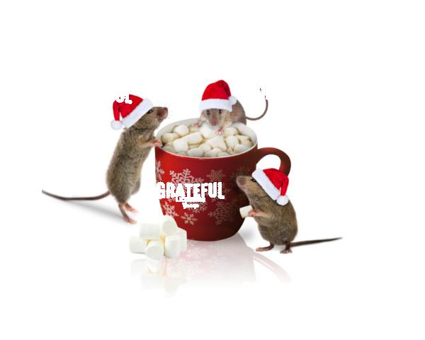 Christmas Hot Chocolate