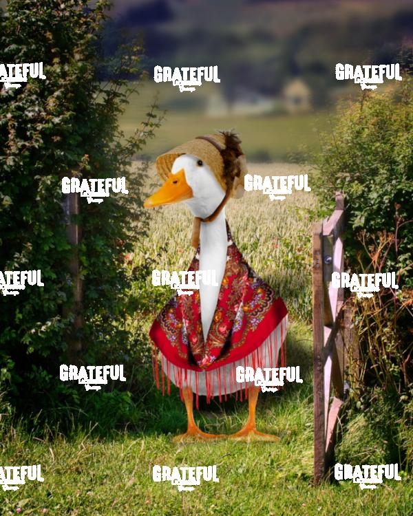 Mrs. Duck