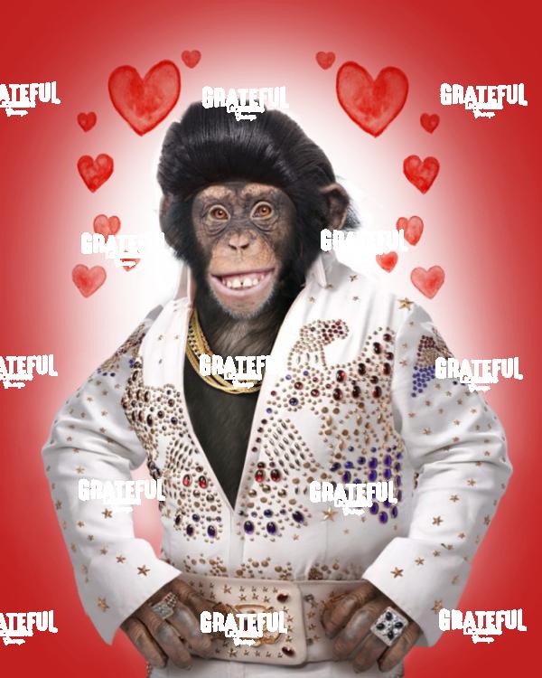 Elvis Monkey Red
