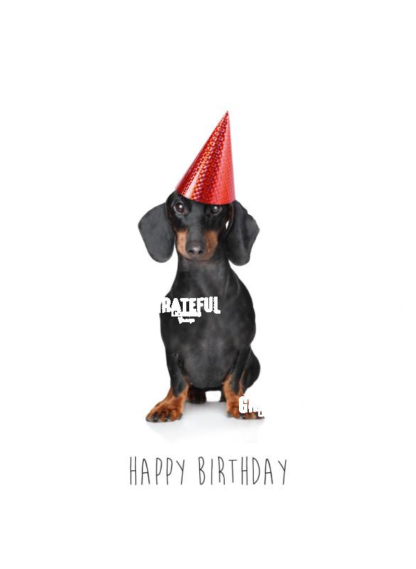 Birthday Dachshund