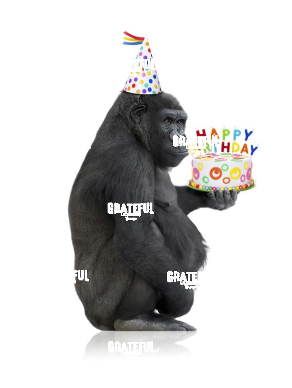 Birthday Gorilla with Cake