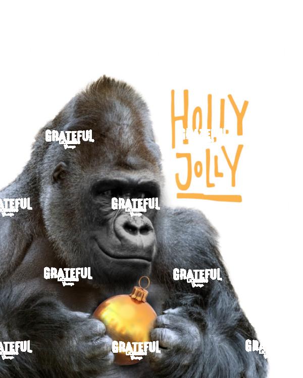 Gorilla Christmas Ball