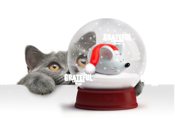 Christmas Snow Globe