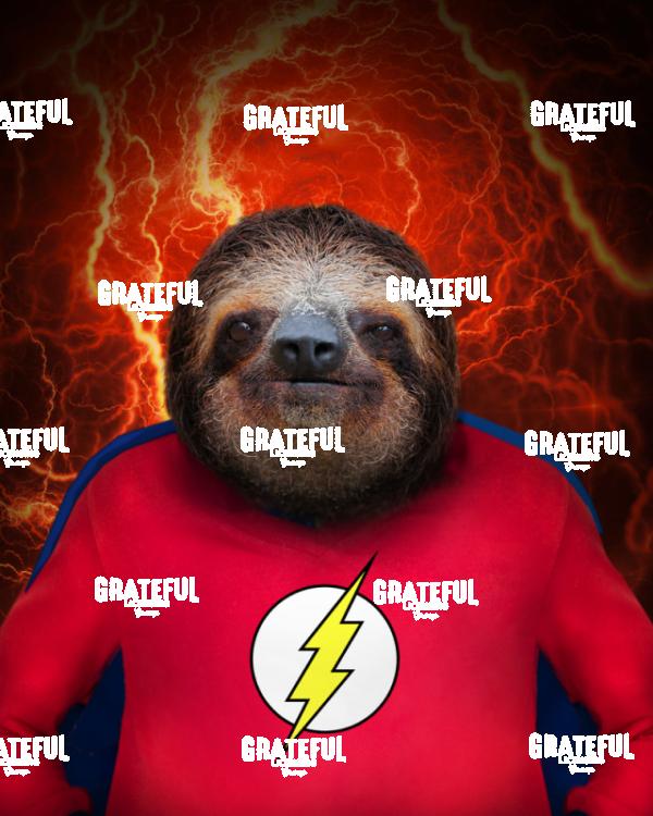 Sloth