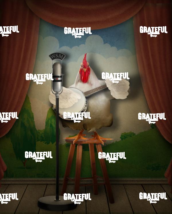 Chicken Banjo