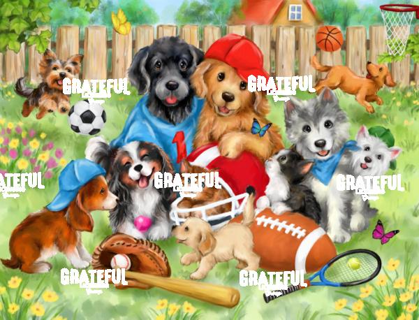 Sporty Dogs and Cats