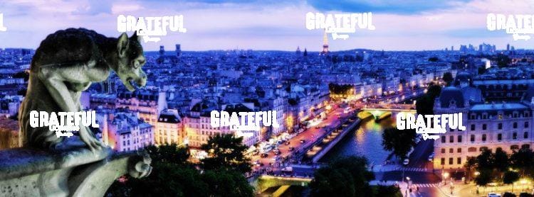 Paris Gargoyle View