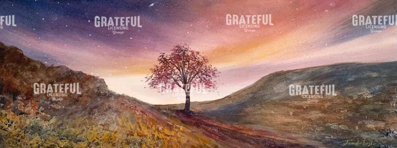 Skies Of Gold Over Sycamore Gap