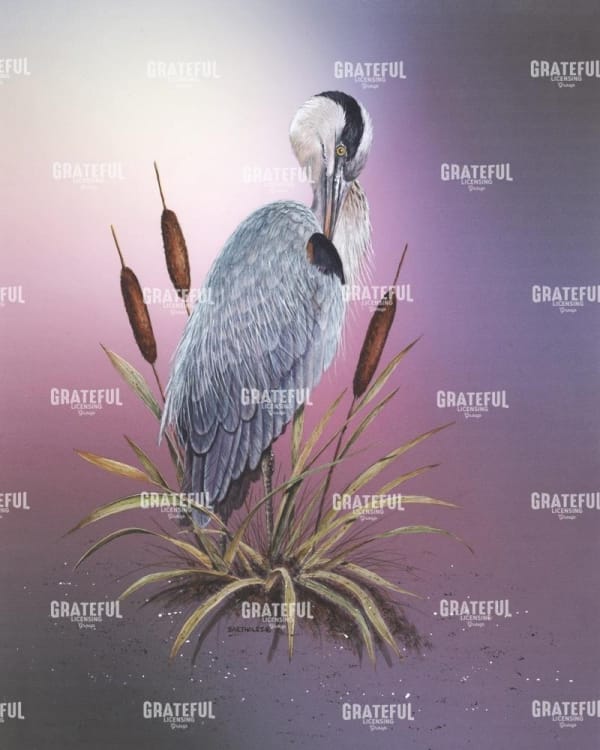 Sunset Heron