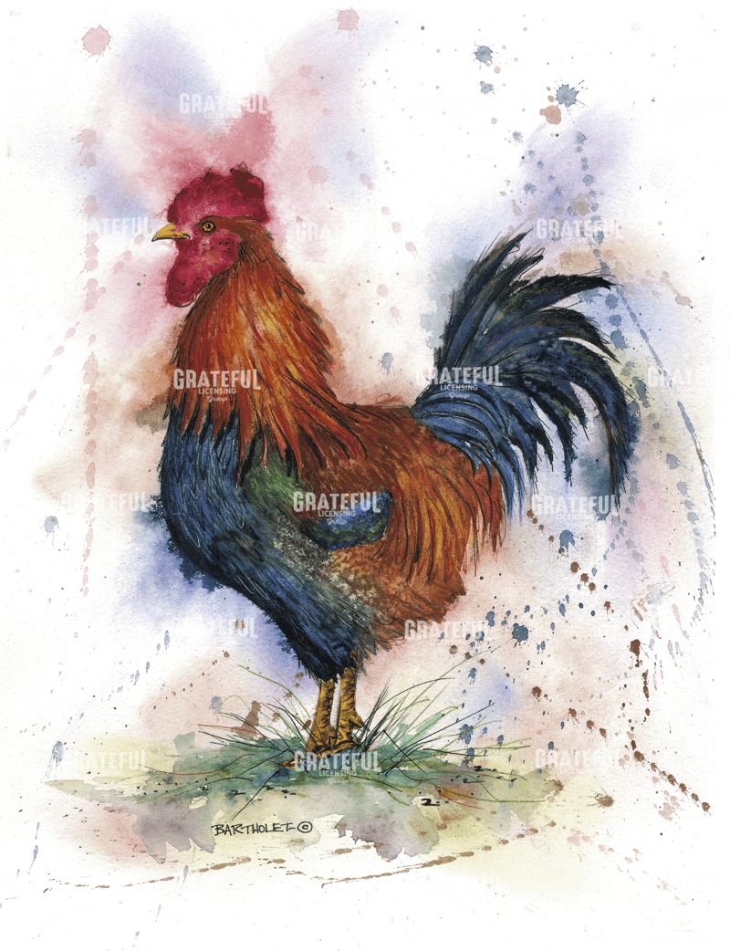 Barnyard Rooster