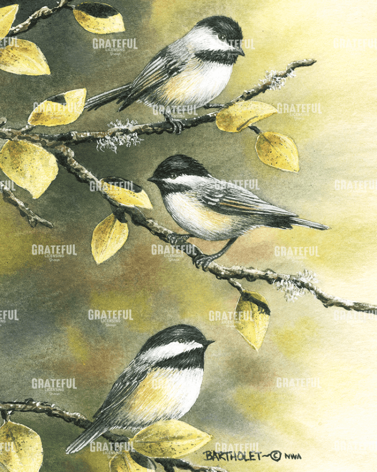Three Chickadees