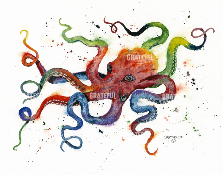Octopus