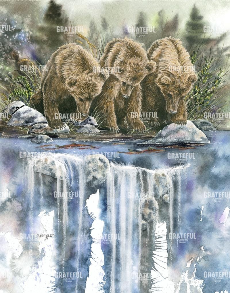 Looks like Sockeye to me