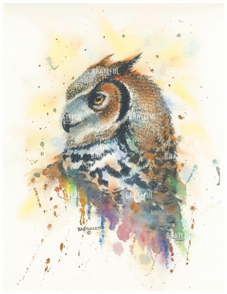 The Watchful Eye