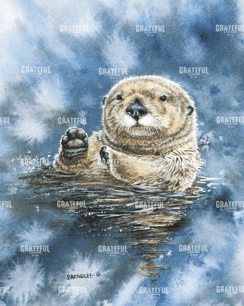 Sea Otter