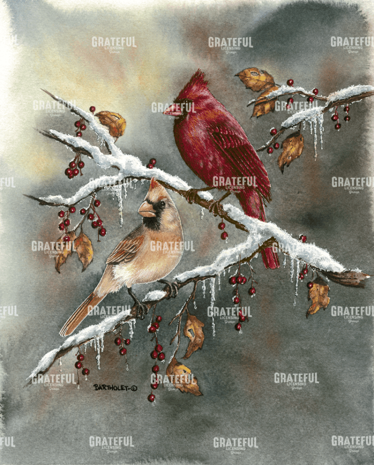 Cardinals