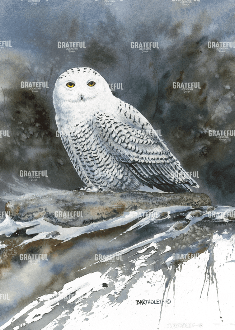 Arctic ghost