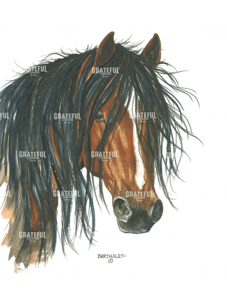 Horse Headshot