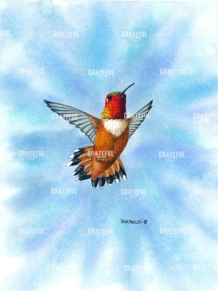 Rufous