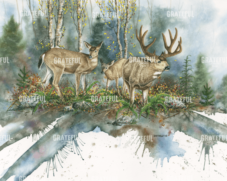 Blacktails