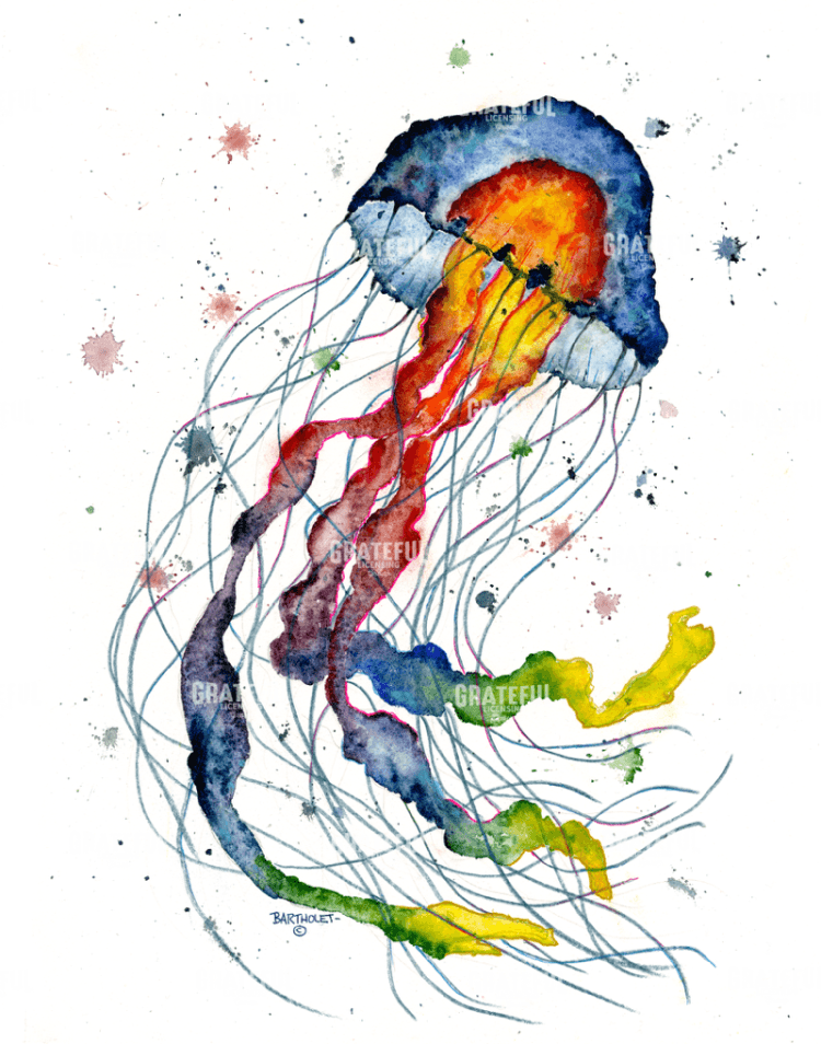 Jelly Fish