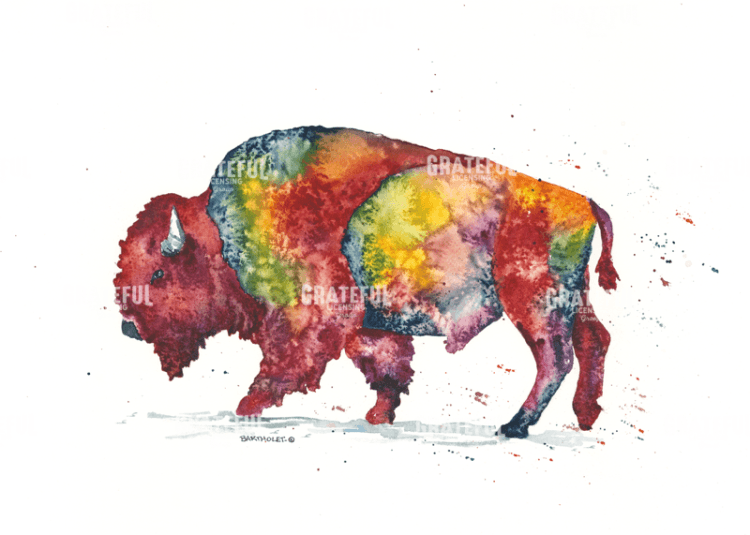 Rainbow Bison