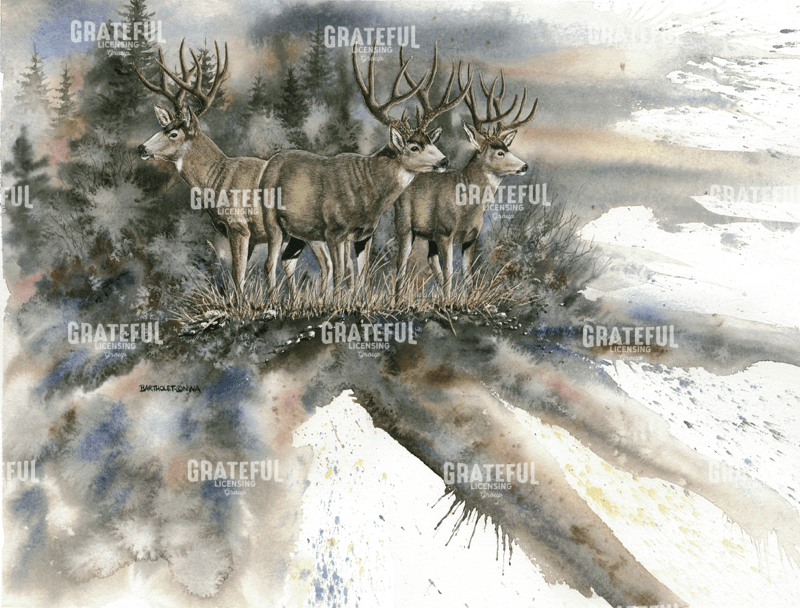 Battle Mountain Bucks