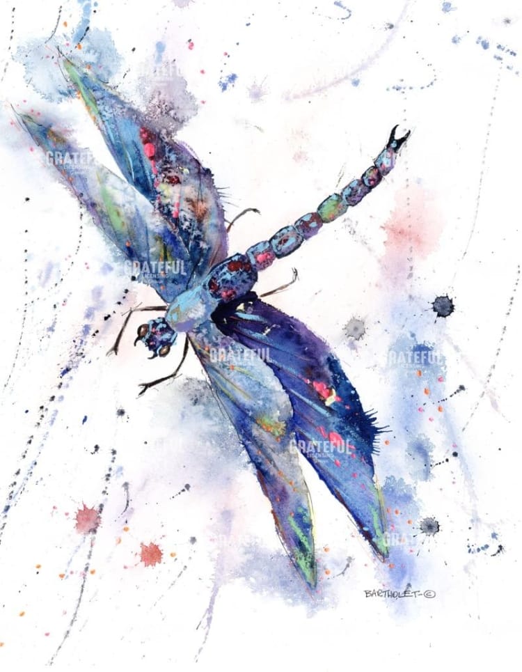 Dragonfly