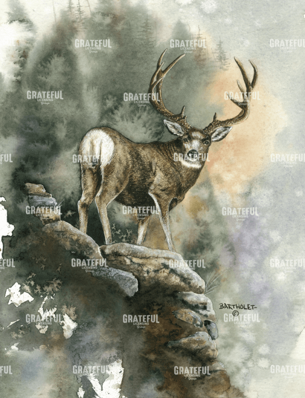 Last Light Muley