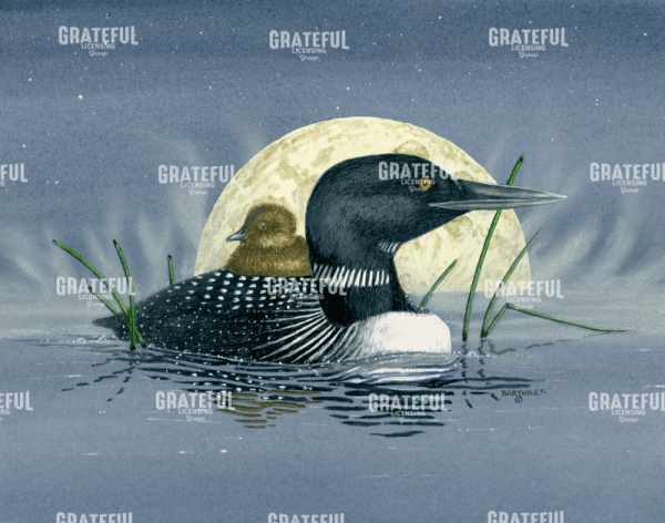 Loon Moon