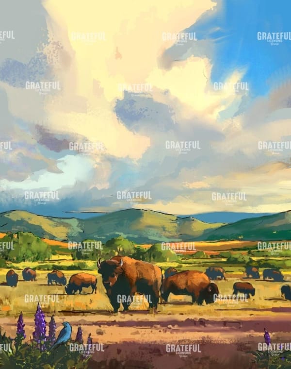 BOZEMAN BISON