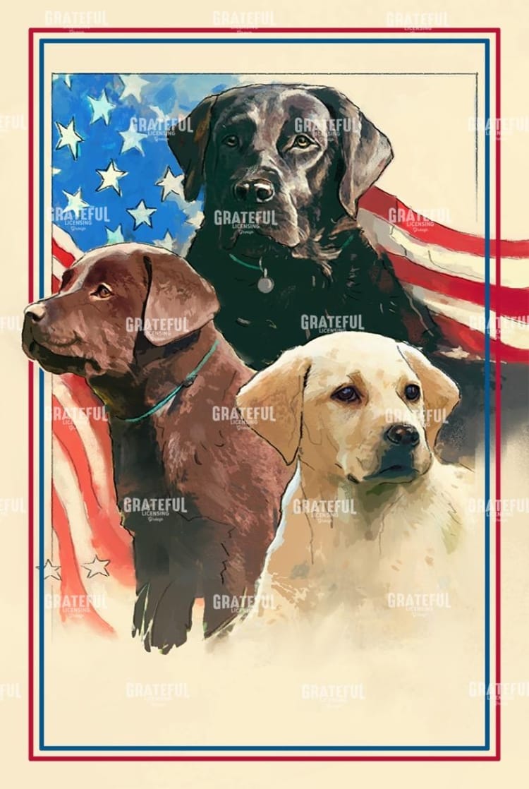 Veterans 1
