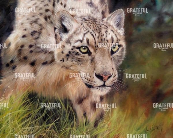 snow leopard 4