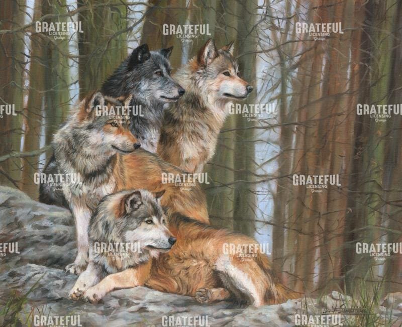 Multiple Wolves Art Four Wolves - Grateful Art Licensing