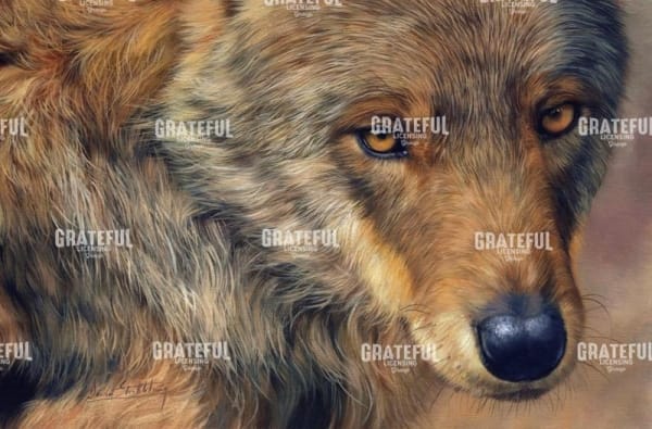wolf portrait