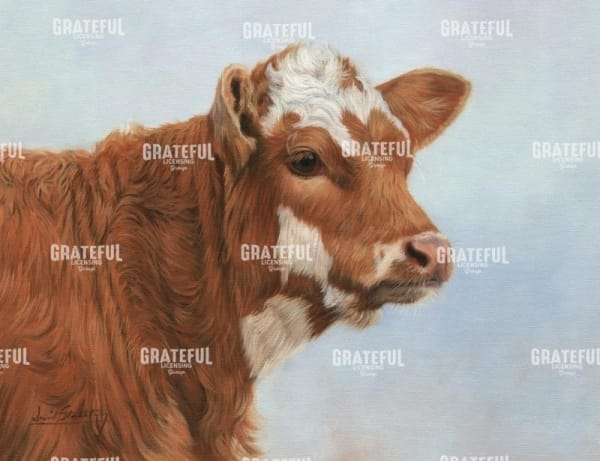 calf