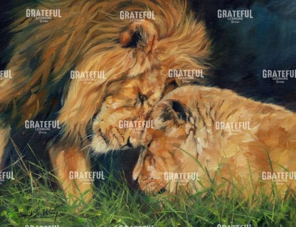 Lion Love