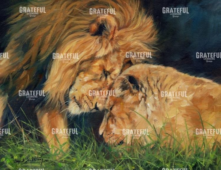 Lion Love