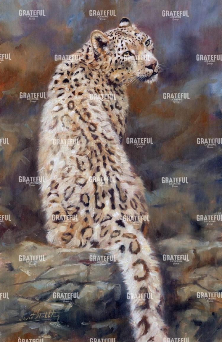 Snow Leopard 2