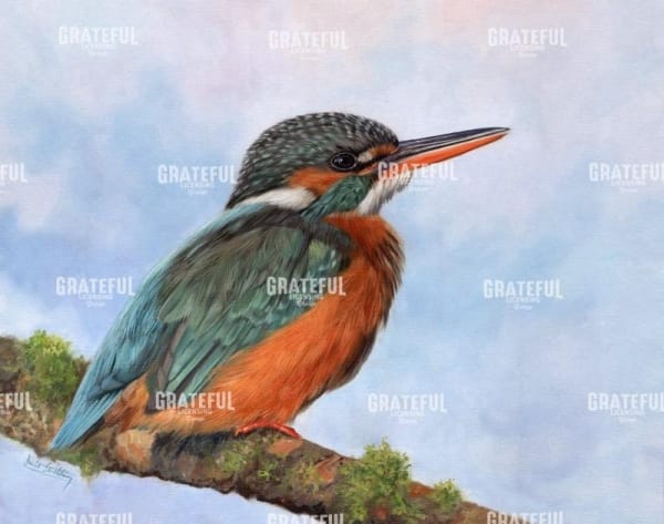 KINGFISHER 2
