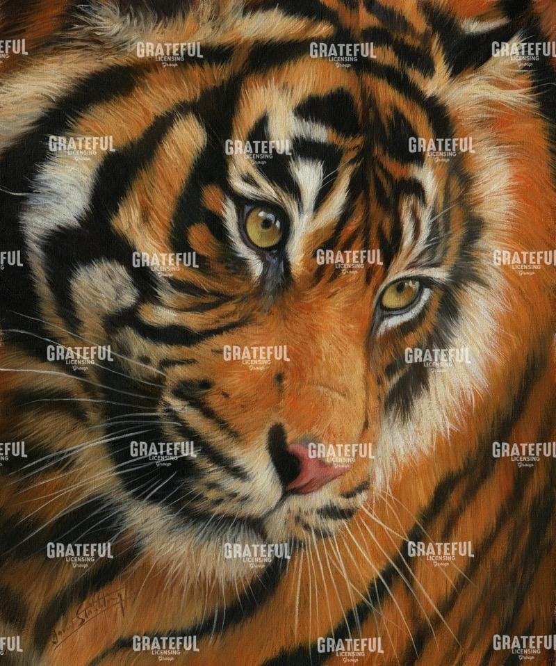 Tiger Portrait 3